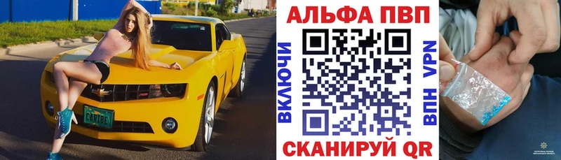 A PVP СК  Калачинск 
