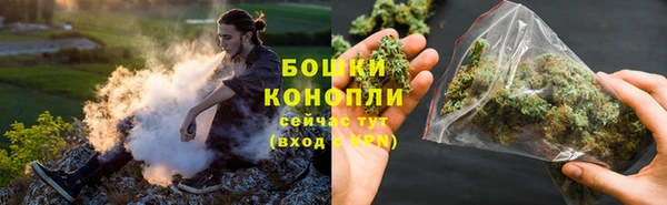 прущие грибы Гусев