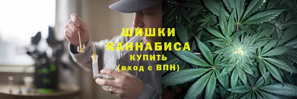 дмт Гусь-Хрустальный