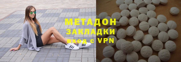 прущие грибы Гусев