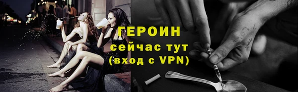 прущие грибы Гусев