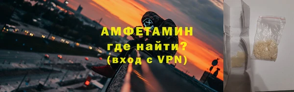 прущие грибы Гусев