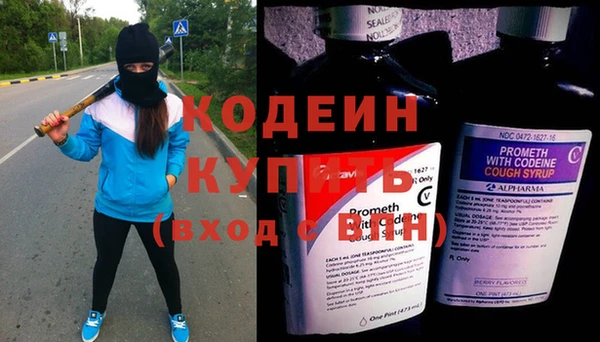 прущие грибы Гусев