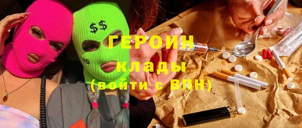 прущие грибы Гусев