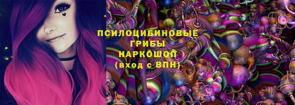 дмт Гусь-Хрустальный