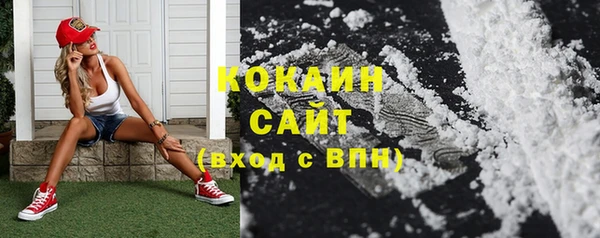 дмт Гусь-Хрустальный