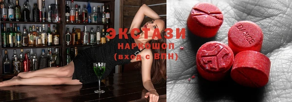 прущие грибы Гусев