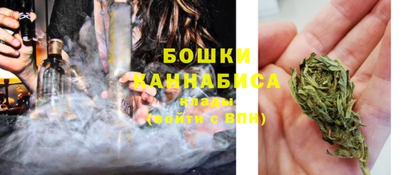 прущие грибы Гусев