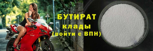 прущие грибы Гусев