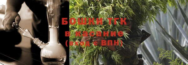 прущие грибы Гусев