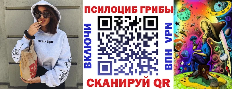 hydra онион Калачинск Галлюциногенные грибы Psilocybe